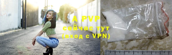 mdpv Медвежьегорск