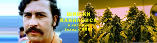 МДПВ Медногорск