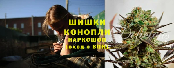 mdpv Медвежьегорск
