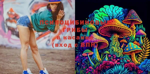 МДПВ Медногорск