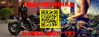 гашик Абакан