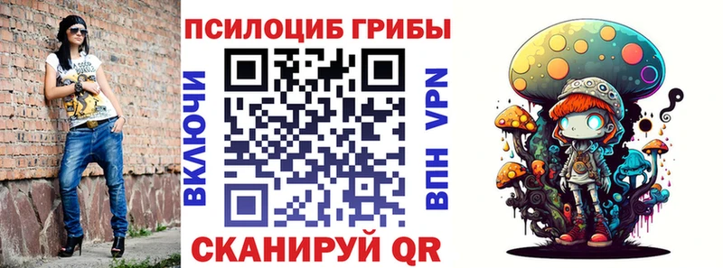 где продают наркотики  дарк нет состав  KRAKEN ссылки  Псилоцибиновые грибы мухоморы  Новосибирск 