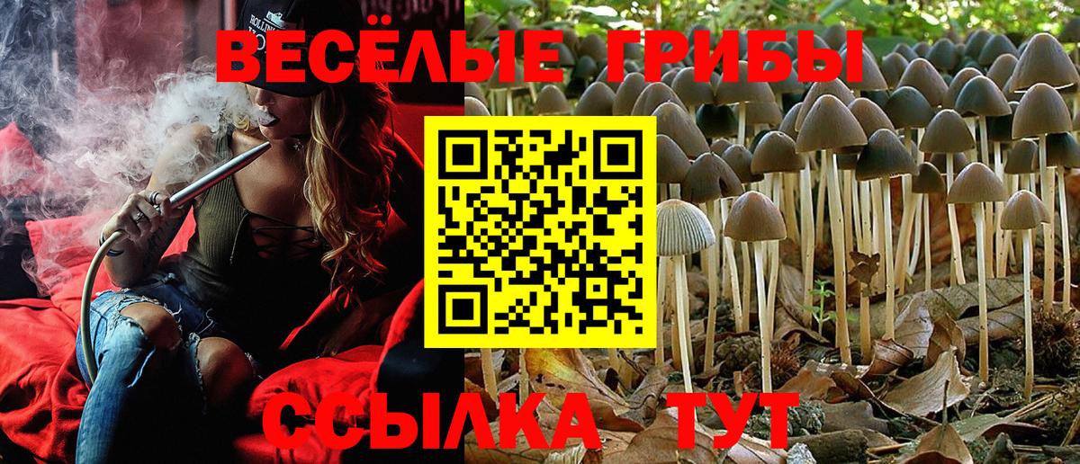 Галлюциногенные грибы GOLDEN TEACHER Новосибирск