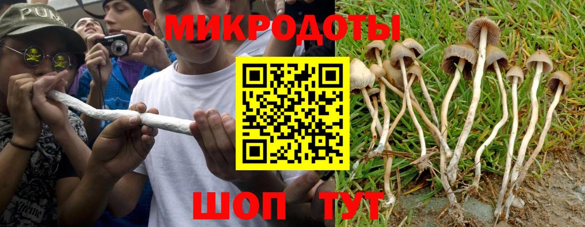 Галлюциногенные грибы мицелий  Псилоцибиновые грибы Magic Shrooms  Вход с VPN  Новосибирск 