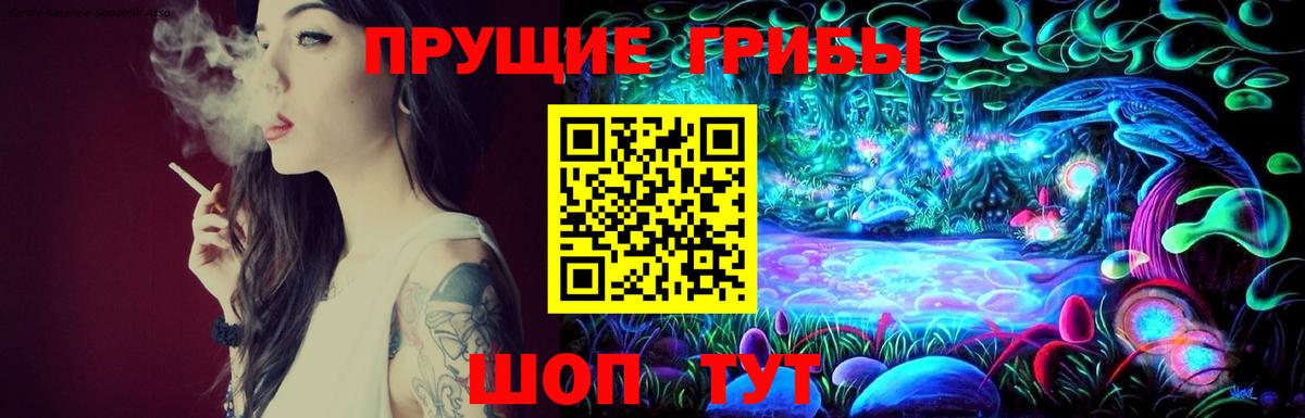 Галлюциногенные грибы Psilocybine cubensis Новосибирск