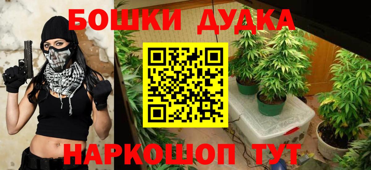 Конопля план  Новосибирск  Канабис MAZAR  МАРИХУАНА Ganja 